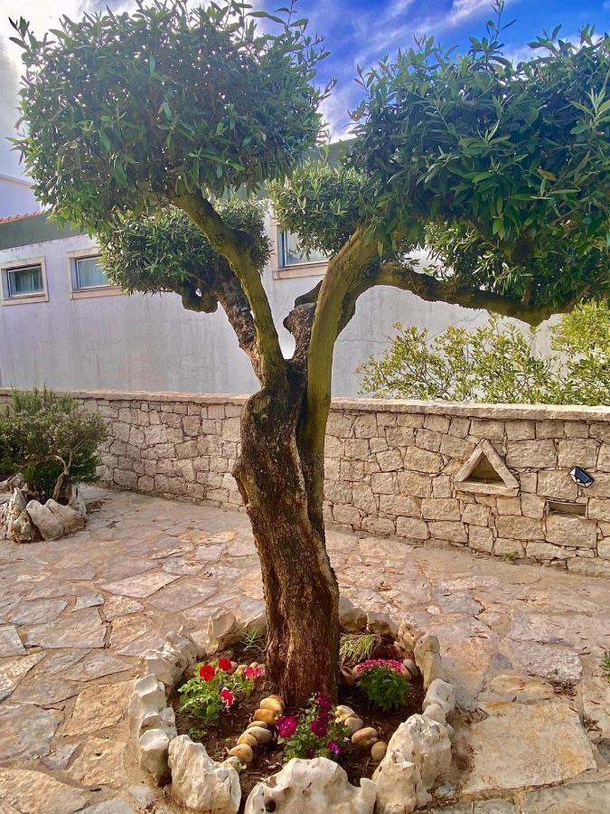 Alqueidão da Serra Casa Das Laranjeiras מראה חיצוני תמונה