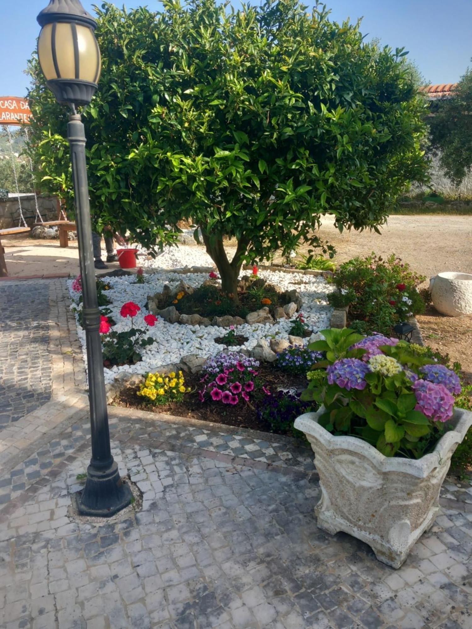 Alqueidão da Serra Casa Das Laranjeiras מראה חיצוני תמונה