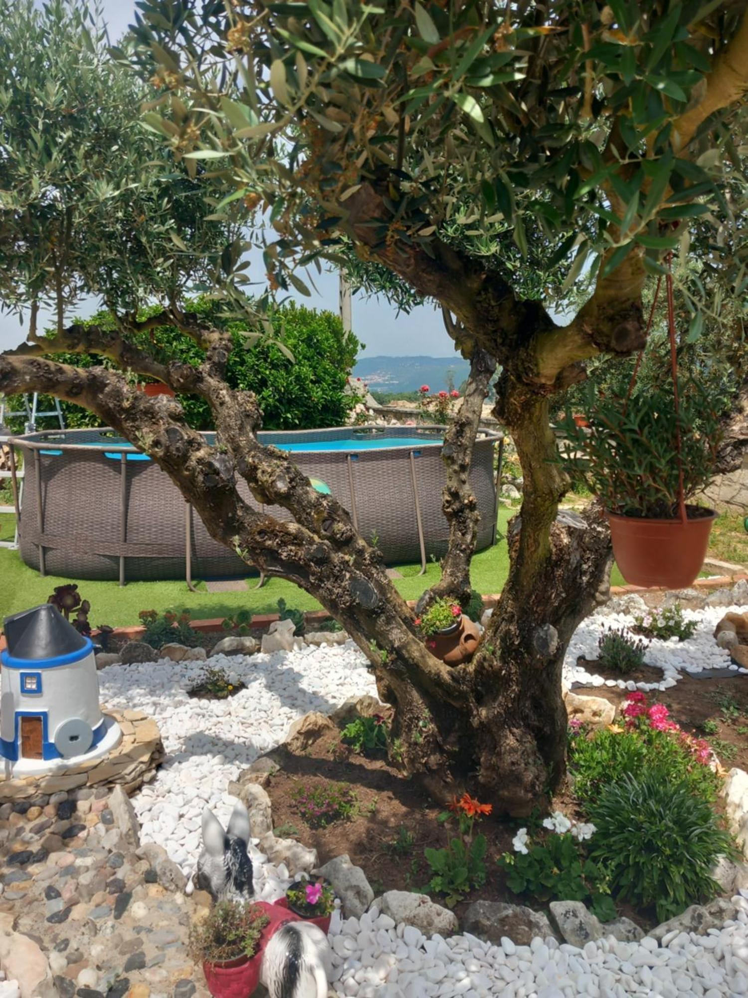 Alqueidão da Serra Casa Das Laranjeiras מראה חיצוני תמונה